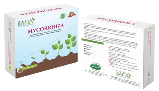 mycorrhiza