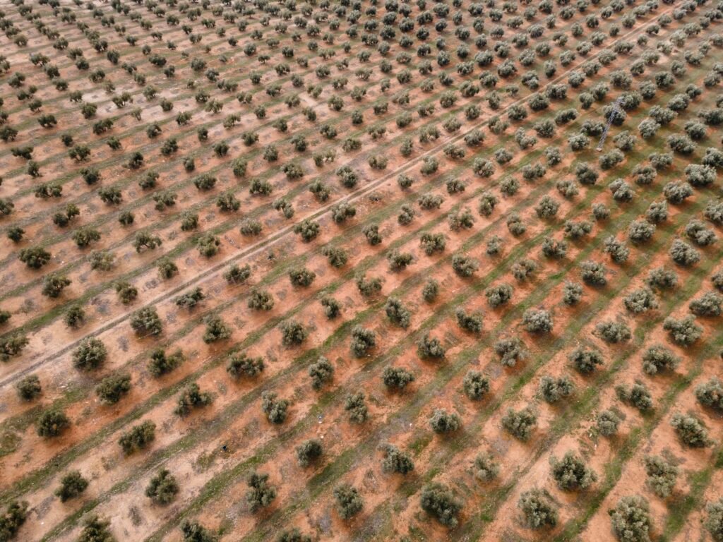 aerial scenery view nature