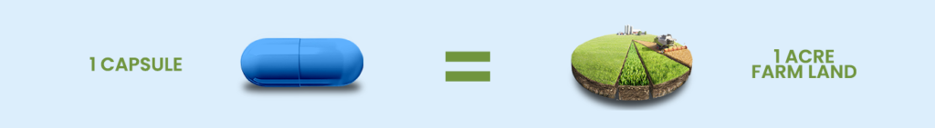 Banner3 mid (1)