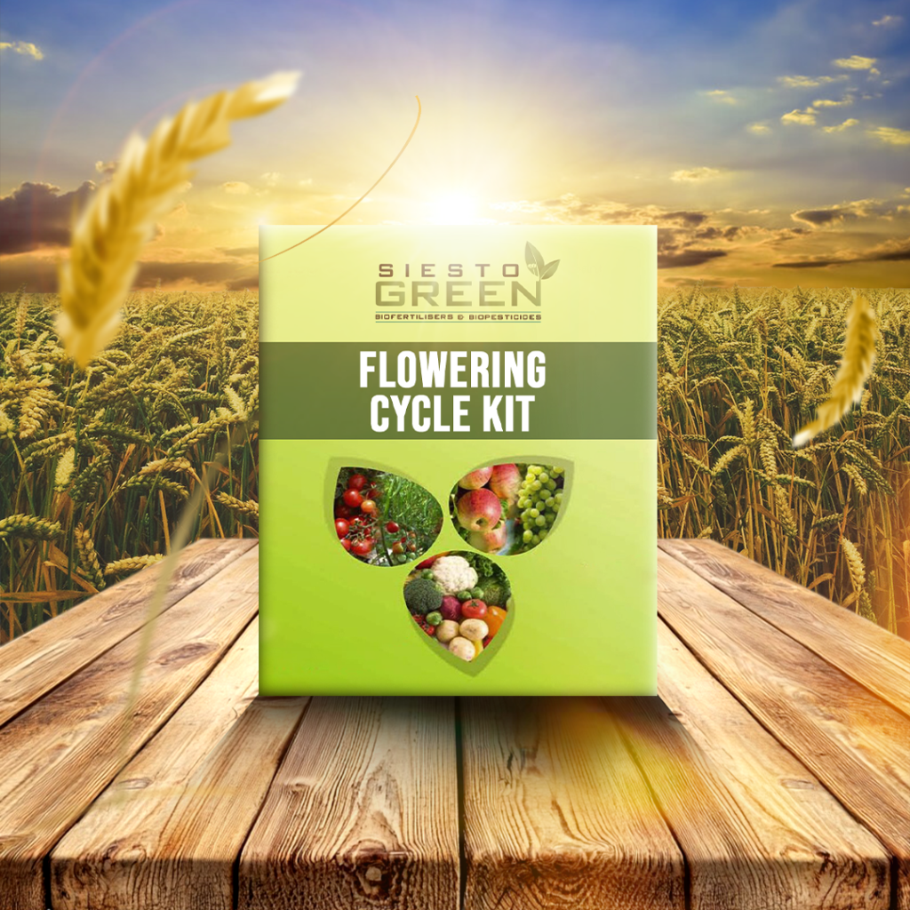 Flowering Cycle kit