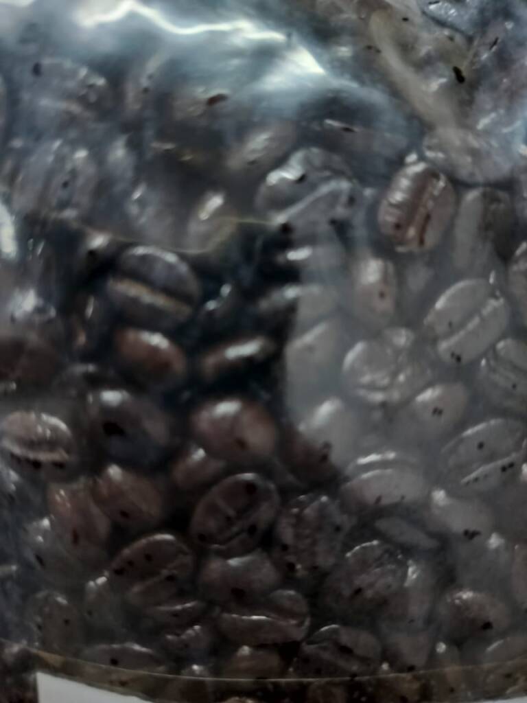 WhatsApp Image 2026 01 19 at 2.22.33 PM (1)